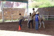 Ofrecen Equinoterapia y Terapia Sensorial para desarrollo físico, emocional y sensorial