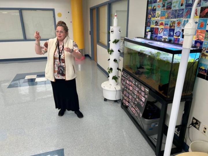 For getting kids excited about sustainability, Fairfax Co. teacher is up for national award