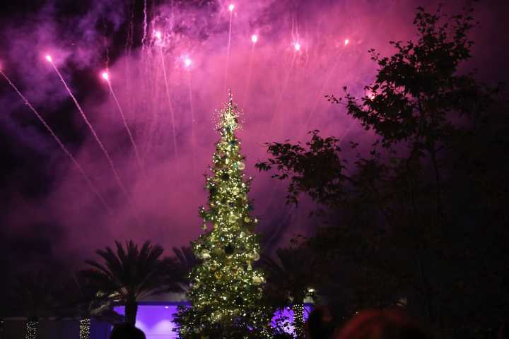 Long Beach kicks off holiday season with annual tree lighting, Santa arrival at 2nd & PCH