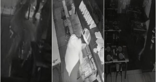"Trapitos" entraron a robar a un restaurante: se llevaron plata y latas de birra