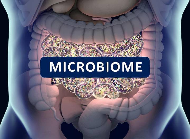 The Hype and Limits of At-Home Gut Microbiome Tests