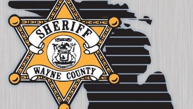 Man arrested, shot at after trying to hit Wayne Co. deputies with pickup