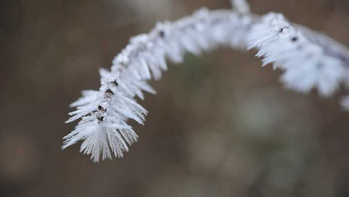 Severe storms, possible tornadoes and a hard freeze ahead for MS