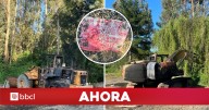Queman maquinaria pesada en nuevo ataque incendiario en Carahue: se encontró lienzo firmado por la WAM