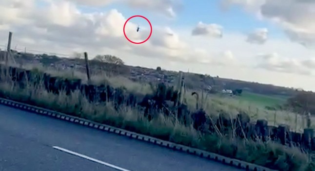 Helicopter ‘crash lands’ into a field after seen ‘falling from the sky’