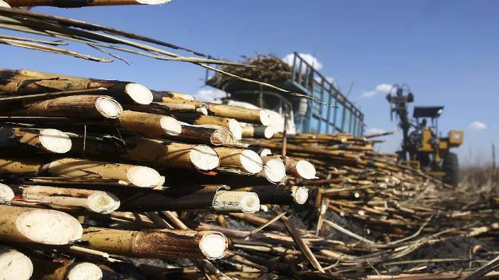 Gobierno Federal aplicará permiso previo a la importación de azúcar para proteger al sector cañero