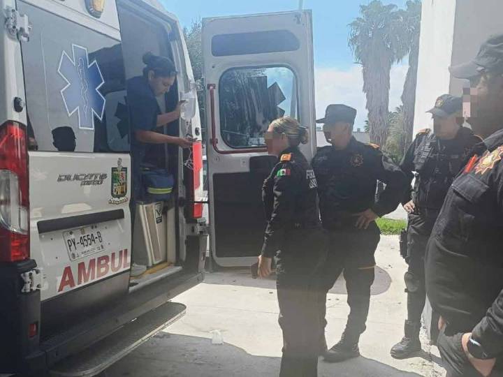 Muere Perla Patricia por mordedura de araña en Montemorelos