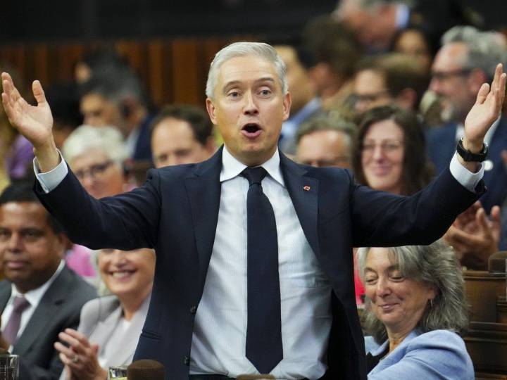 Gunter: Libs likely to survive fed budget but honeymoon won't be long