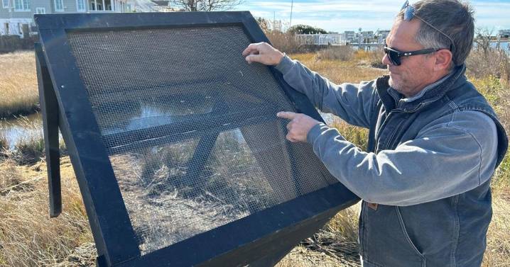 Bug bill bites back: State may help Shore towns build traps for bloodthirsty greenhead flies