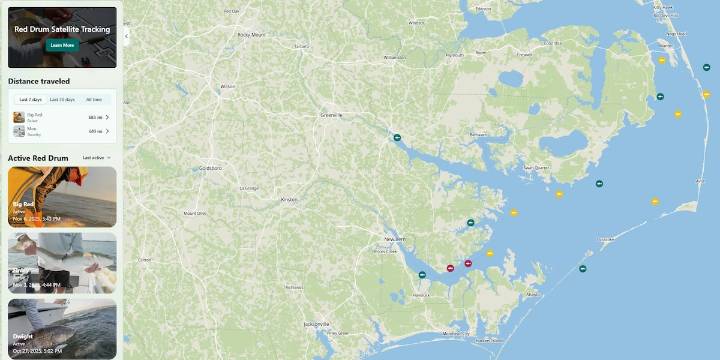 New red drum state coastal tracking system debuts
