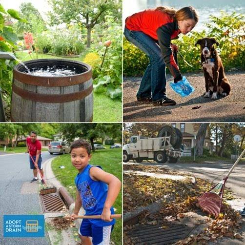 Lake Forest Park is now an Adopt