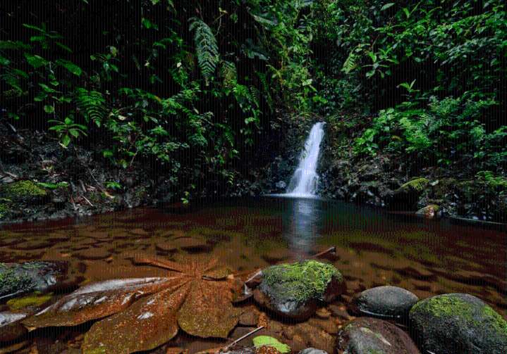 Ciencia y Comunidad: La fusión indispensable para salvar nuestras cuencas