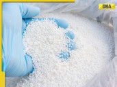 2900 kg ammonium nitrate found in Faridabad: How dangerous is it?