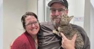 Missing Idaho cat found in San Francisco following mysterious disappearance