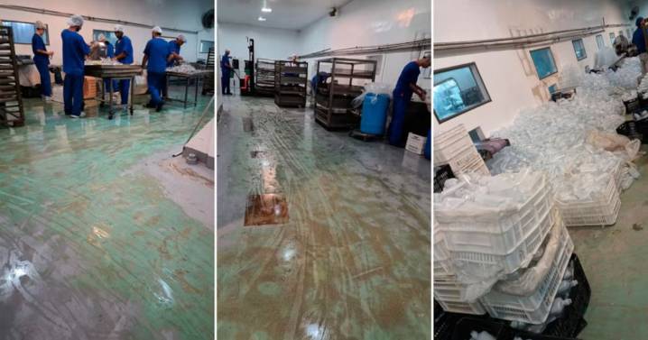 Fentanilo contaminado: extrabajadoras revelan que «no había control ni supervisión real» en el laboratorio