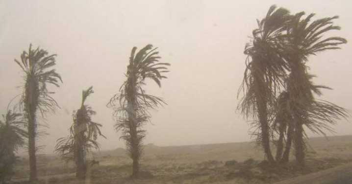 Alerta en costa peruana: Vientos intensos generarán nubes de polvo y arena desde HOY 30 de noviembre