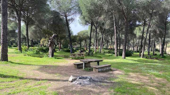 El desconocido paraíso natural de Sevilla donde pasear entre encinas, miradores y silencio mediterráneo