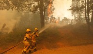 CONAF y CAL FIRE fortalecen cooperación internacional en materia de incendios forestales
