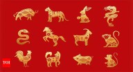 Chinese Zodiac Horoscope Today, November 5, 2025: Major career progress unfolds, these zodiac signs will find clarity