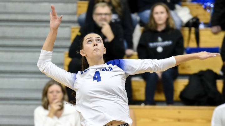 Girls volleyball All-Union division & county teams for the 2025 season