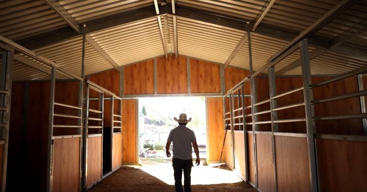 Will Rogers State Historic Park to reopen after being ravaged in Palisades fire