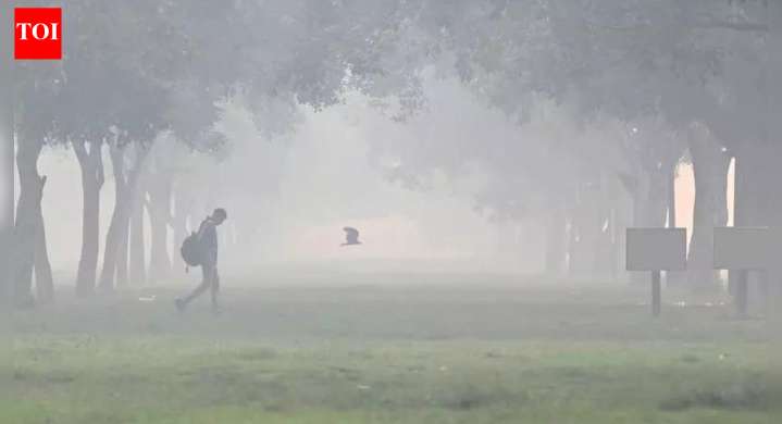 Delhi breathes very poor air on 16 of 21 days in November