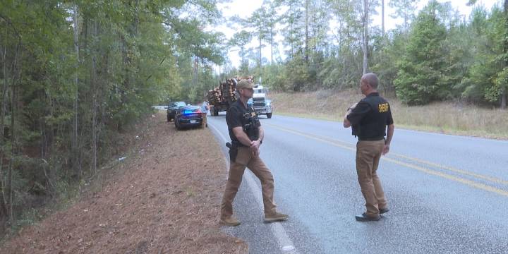 Clarke County deputies respond to alleged monkey sighting