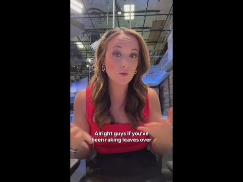 How to use fall leaves for compost!