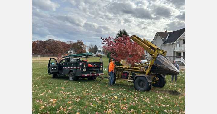 MMSD relocates trees to preserve natural assets at 10 schools