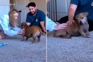 Couple Return From Honeymoon, Horror at What Pet Cam Captures