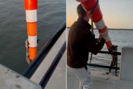 Exhausted Raccoon Trying to Stay Afloat in Water Rescued by a Couple with Cone