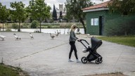 Gripe aviar: el alcalde solicita mantener la distancia con los patos del Parque del Río