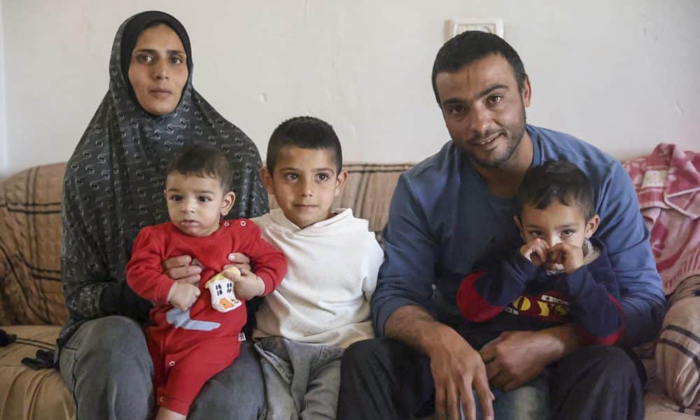 Violencia colona en Cisjordania: gas pimienta a un bebé, animales asesinados a sangre fría