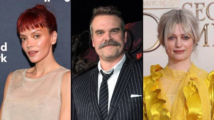 Lily Allen 'Likes' Post From David Harbour's Ex About Dealing With 'Bullies'