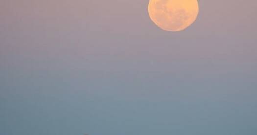 Photos of the supermoon November 5 in Newcastle NSW