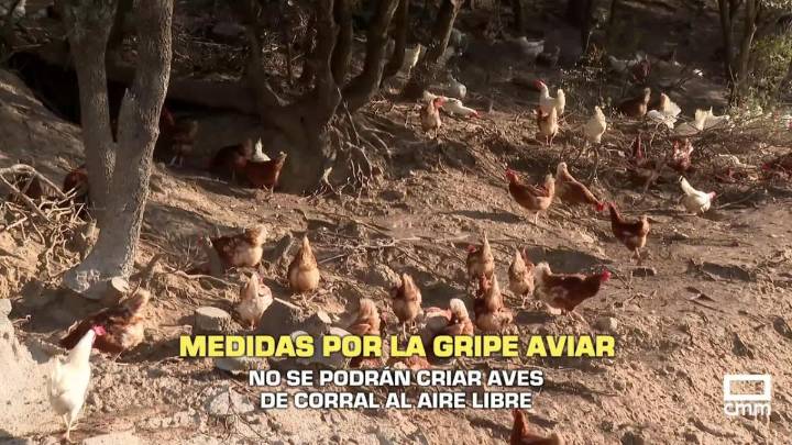 La noche en titulares