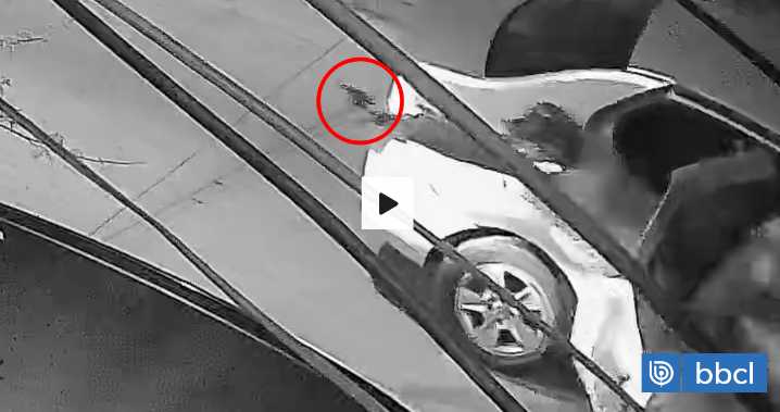 Con 16 puntos en la cabeza termina víctima de robo en Conchalí: fue golpeado por delincuentes