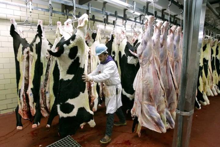 The age-old debate: Do Illegal immigrants steal American jobs?