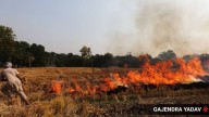 28 farm fire incidents in two days: CAQM pulls up Fatehabad DC over spike in stubble burning cases