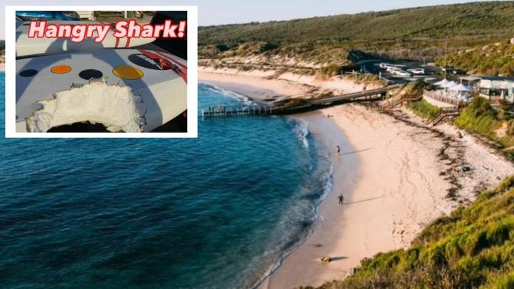‘Like a freight train hit me’: WA surfer Andy McDonald recounts terrifying shark attack off Prevelly Beach