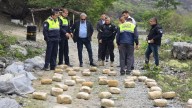 Vehils Ruiz destacó operativo en Tucumán que desbarató banda narco con más de 300 kilos de marihuana
