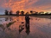Outdoors: Partnership hunt another success story in northwest Ohio