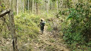 Seis (y luego siete) menores mueren en bombardeo militar en Guaviare: Defensoría denuncia violación del Derecho Internacional Humanitario