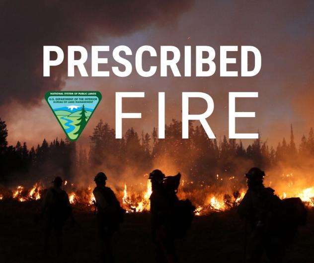 BLM Conducting Prescribed Burning In Iron Mountain Area