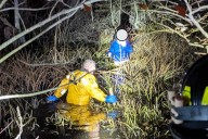 Woman Was Out Walking When She Got ‘Lost’ in the Dark and Stuck in Swamp
