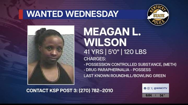 Wanted Wednesday: Meagan Latese Wilson
