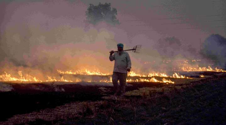 Stubble burning started in Punjab, Haryana, worsening Delhi-NCR air quality levels, SC told