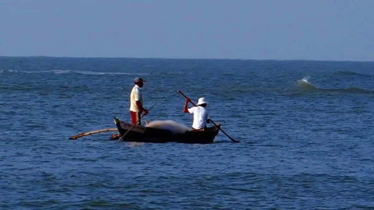 Odisha: 8 fishermen arrested for fishing in turtle habitation zones