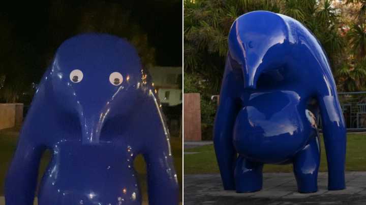 Mount Gambier teen Amelia Vanderhorst charged over allegedly sticking googly eyes to Cast in Blue statue
