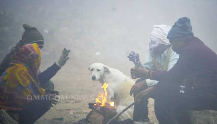 IMD Issues Cold Wave Warning For Four Odisha Districts As Mercury Plunges